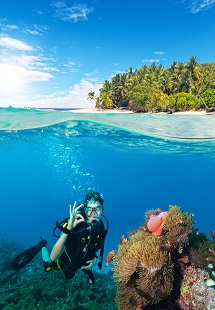 Scuba Diving 
